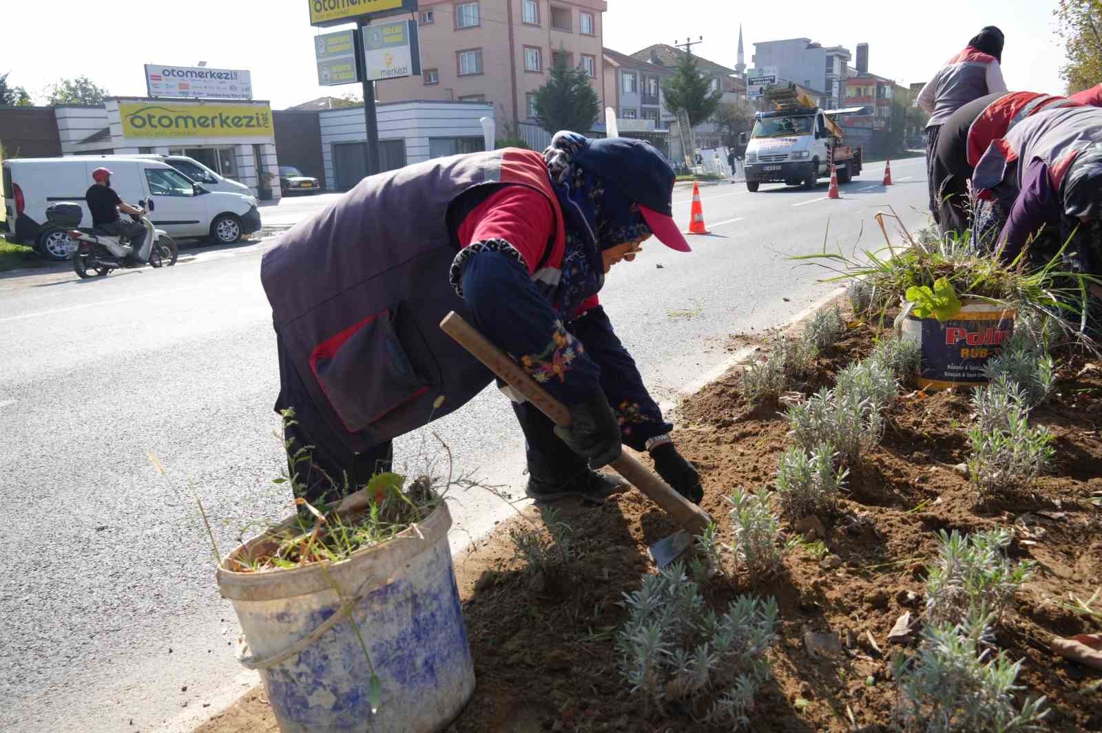 Mevsime uygun bakım çalışmaları yapılıyor
