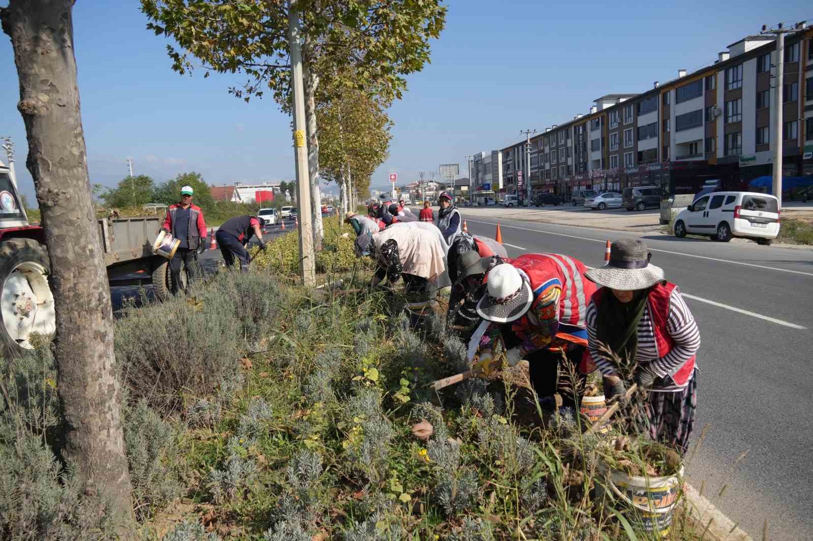 Mevsime uygun bakım çalışmaları yapılıyor
