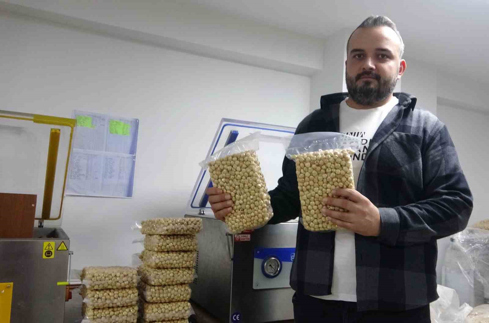 Fındıkta hasat ve kurutma bitti; kırma, kavurma ve paketleme dönemi başladı
