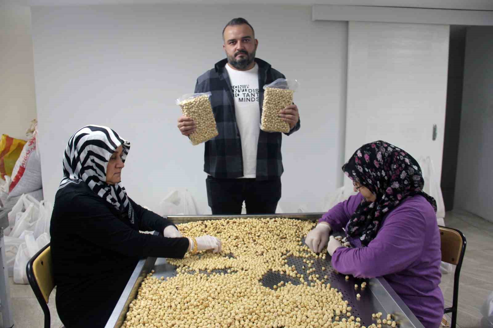 Fındıkta hasat ve kurutma bitti; kırma, kavurma ve paketleme dönemi başladı
