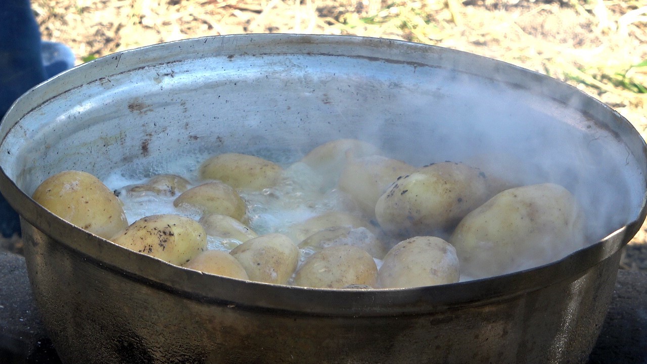 Bakanlık destekledi, çiftçiler üretti: Patateste hasat devam ediyor
