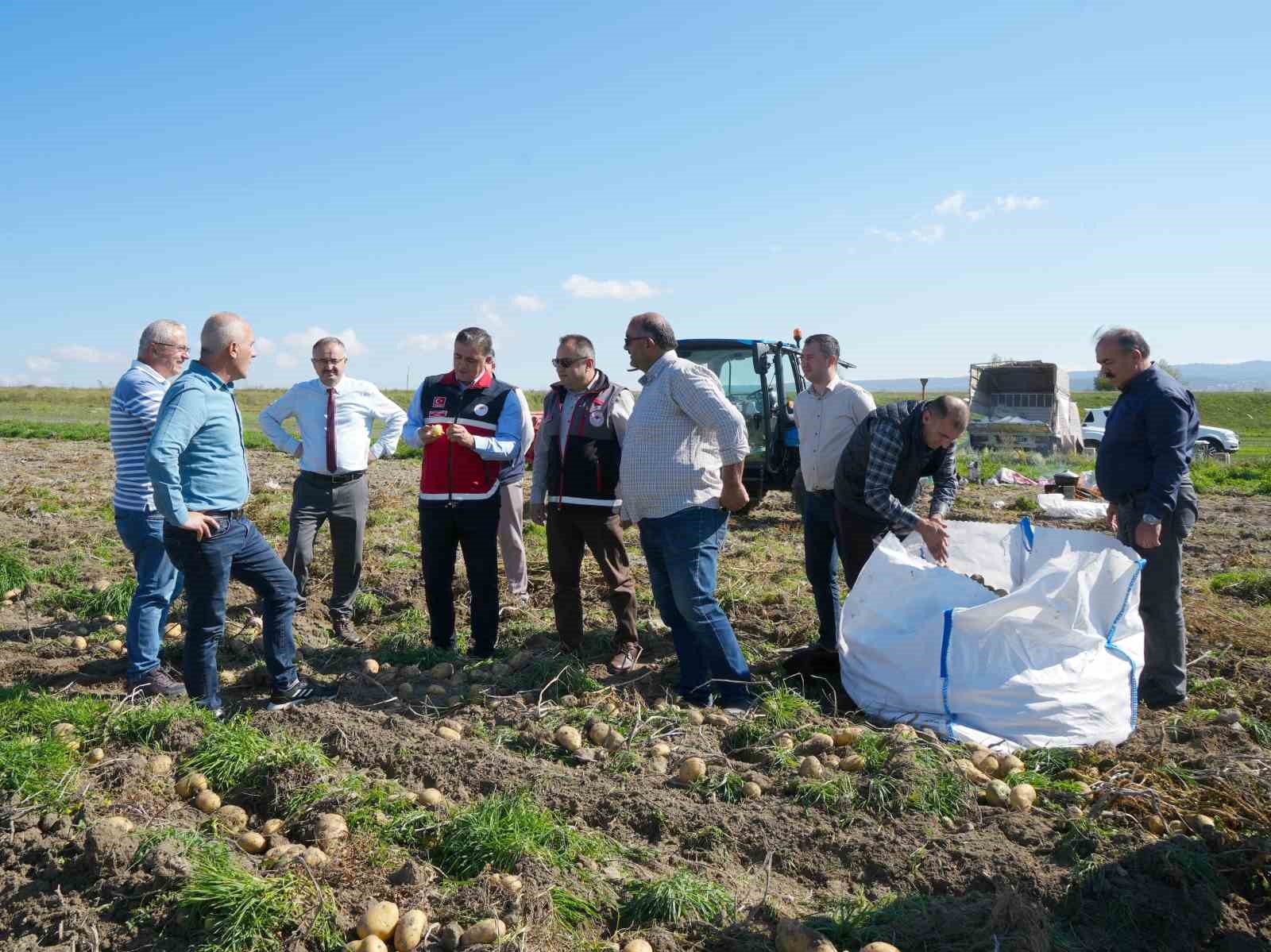 Bakanlık destekledi, çiftçiler üretti: Patateste hasat devam ediyor
