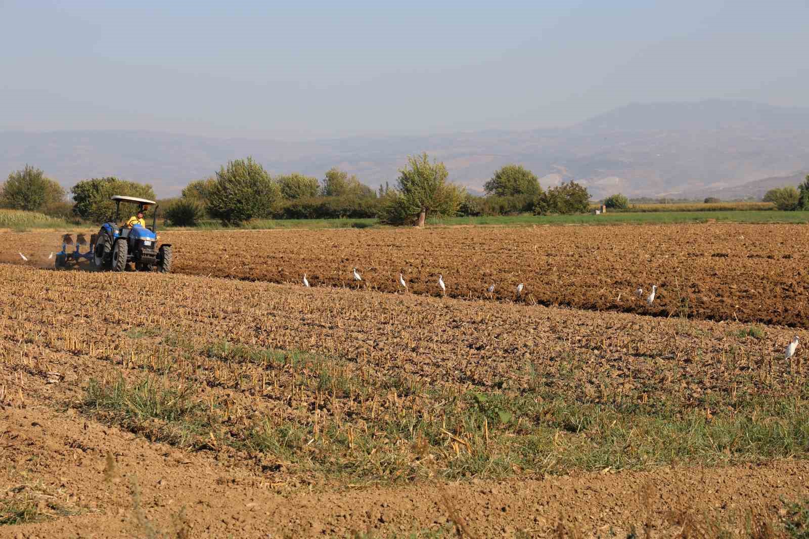 Tarlada çalışacak işçi bulamayınca 3 bin 500 kilometre yol kat edip babasına yardıma geliyor
