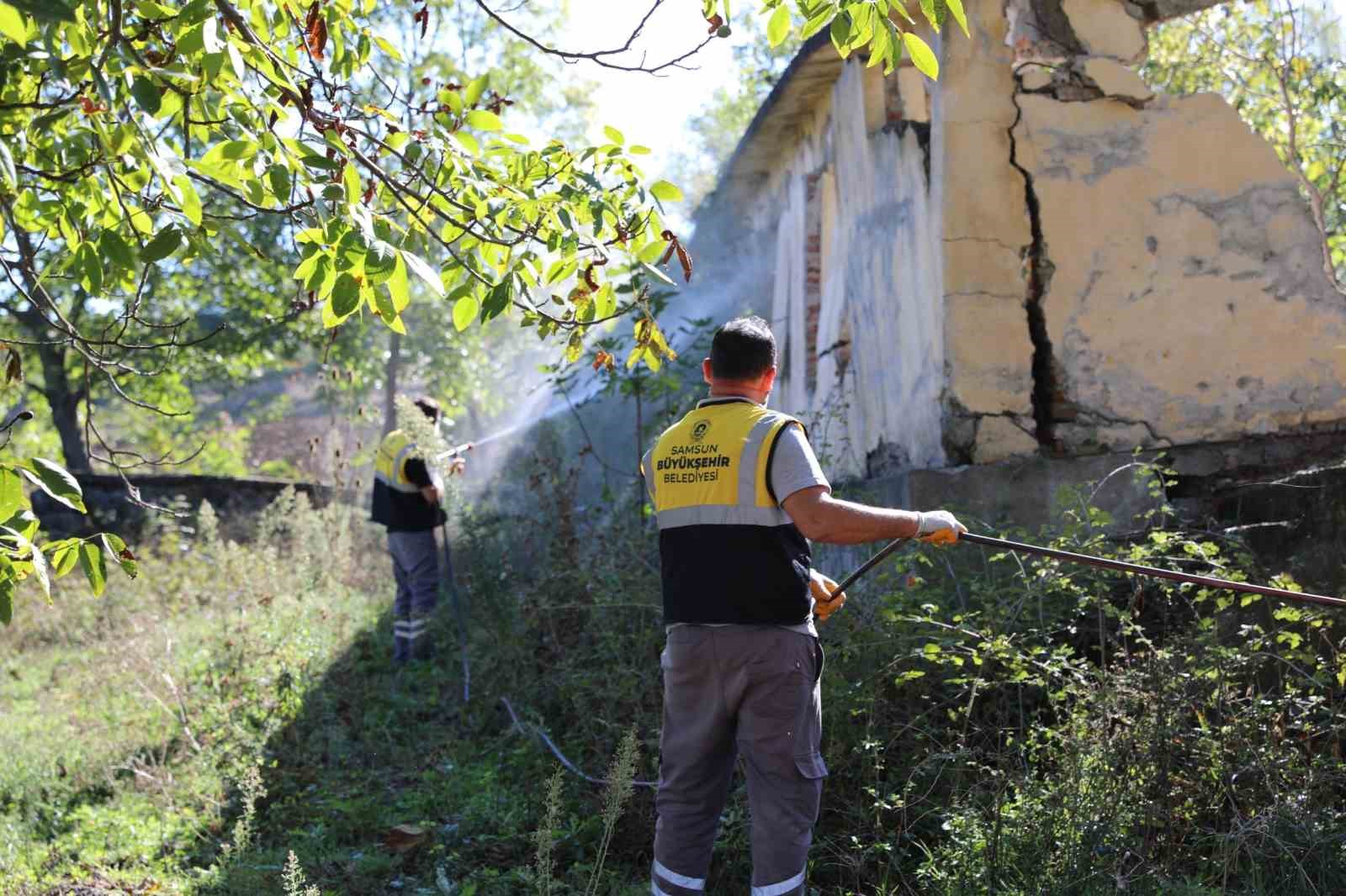 SBB’den kahverengi kokarcayla mücadeleye destek
