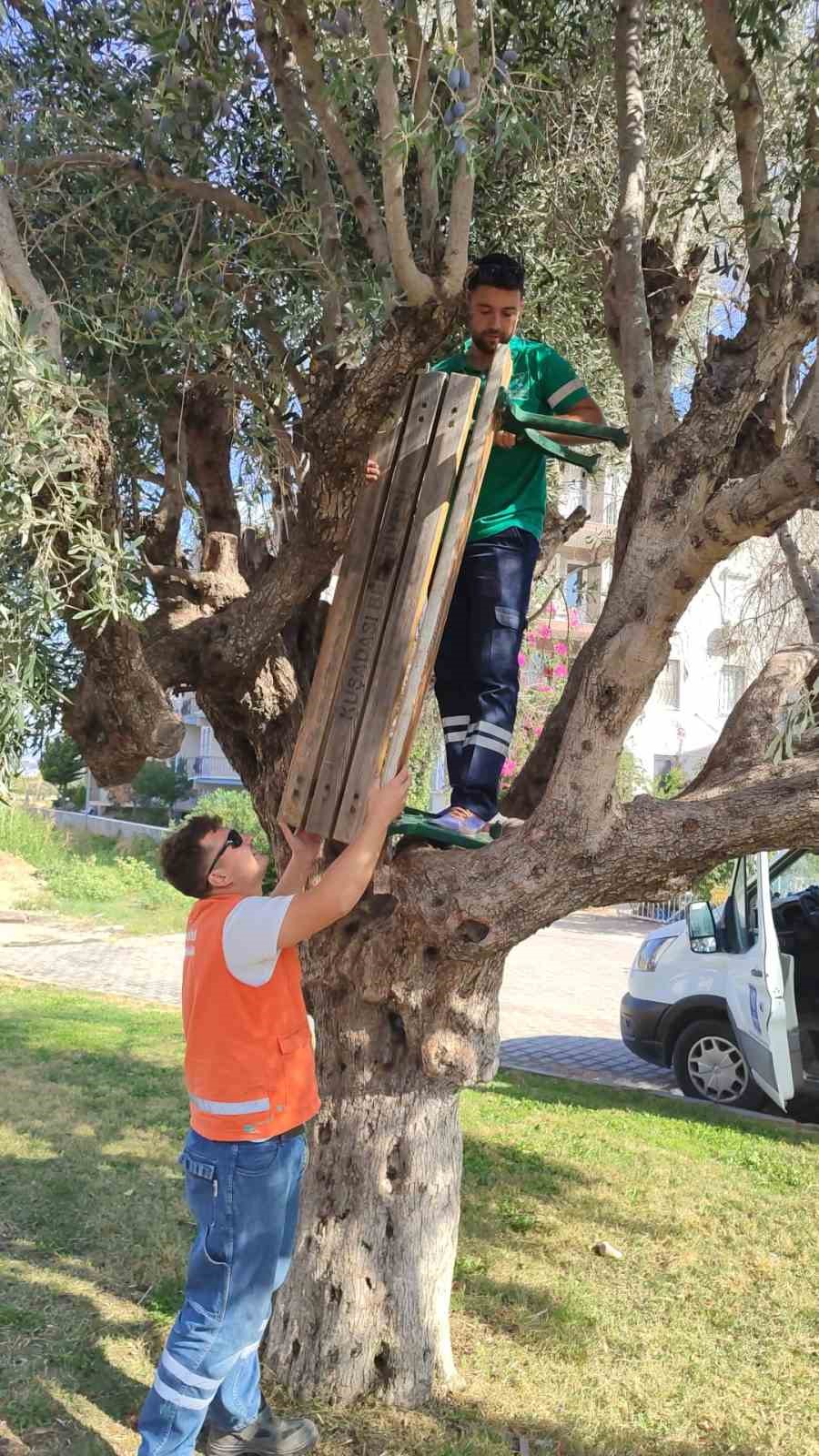 Oturma bankını söküp, ağacın üstüne koydular
