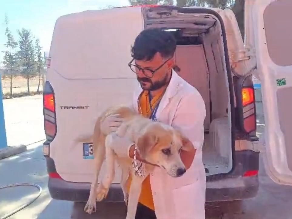 Kuyuya düşen köpeği itfaiye ekipleri kurtardı
