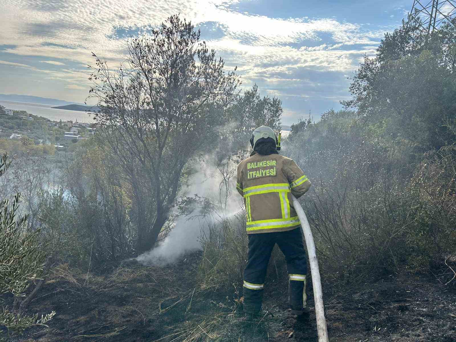 Erdek’te yangın: 10 dönümlük zeytinlik kül oldu
