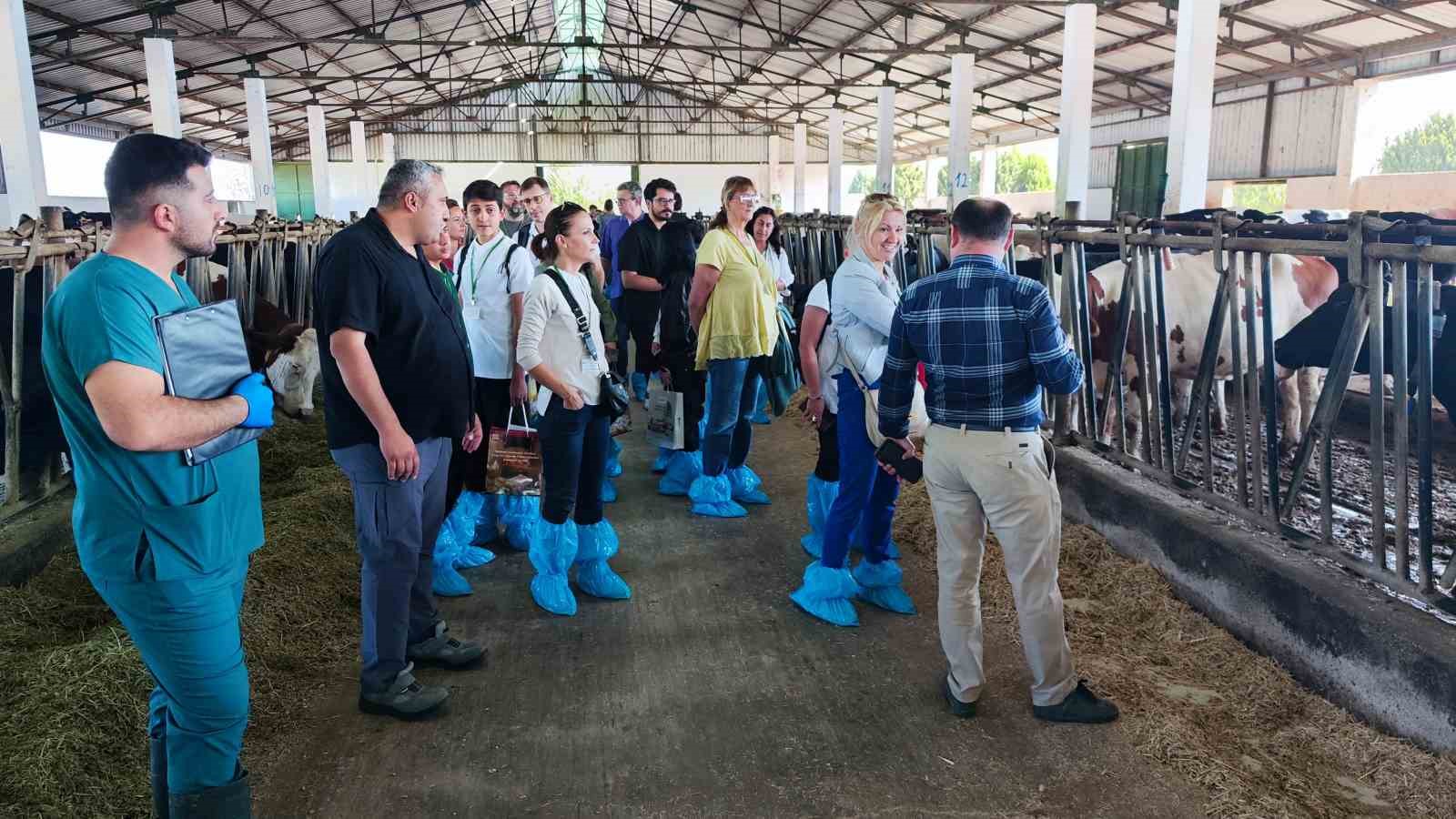 Matlı Yenişehir Süt Çifliği’nde uluslararası misafirleri ağırladı
