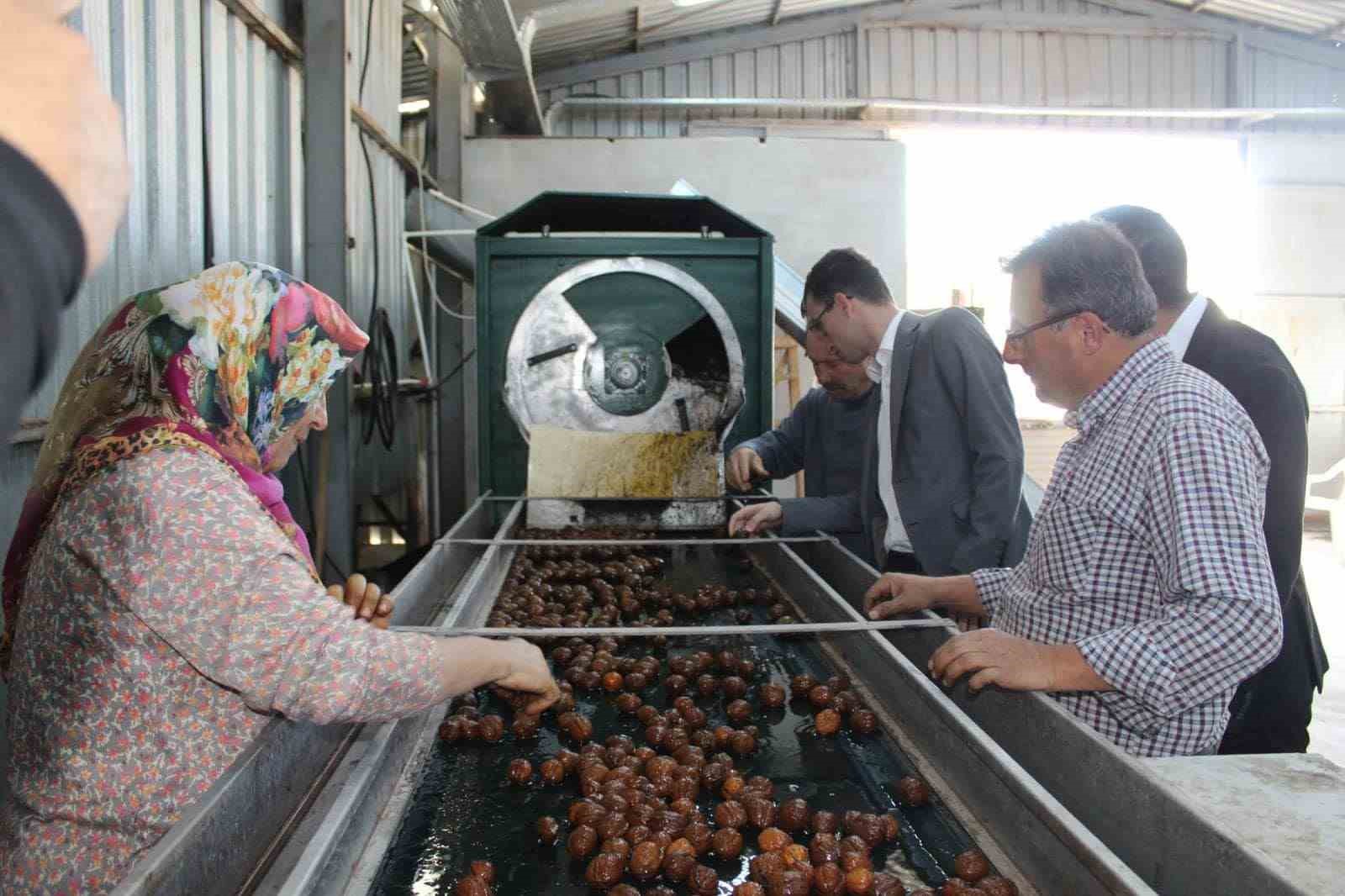 Ceviz kurutma tesisinde mesai başladı
