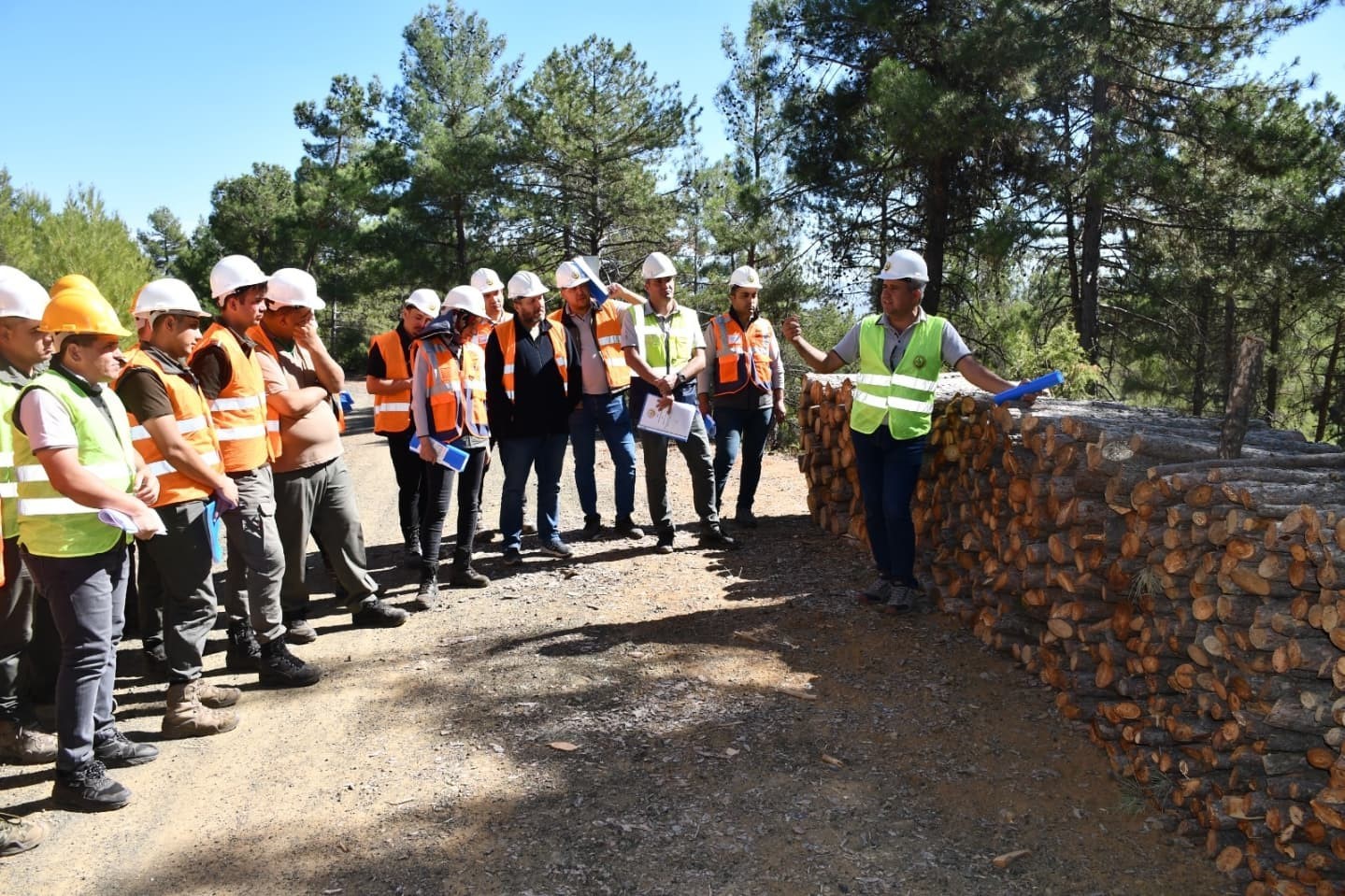 Denizli Orman Bölge Müdürlüğünden Uşak’ta üretim standardizasyonu ve güvenlik tatbikatı
