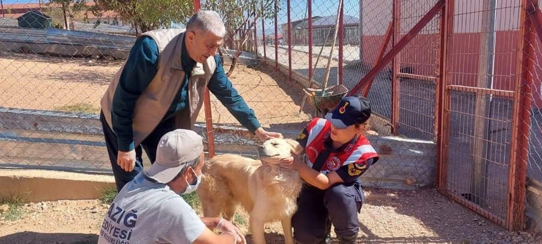 Elazığ’da Hayvanları Koruma Günü etkinlikleri
