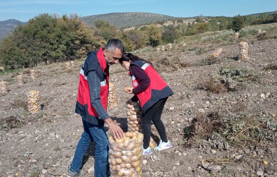 Domaniç’te patates hasat çalışmaları kontrol edildi
