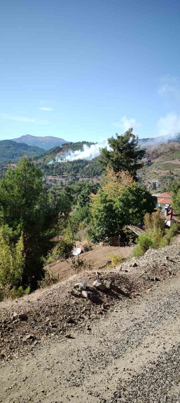 Muğla’nın Köyceğiz ilçesinde orman yangını
