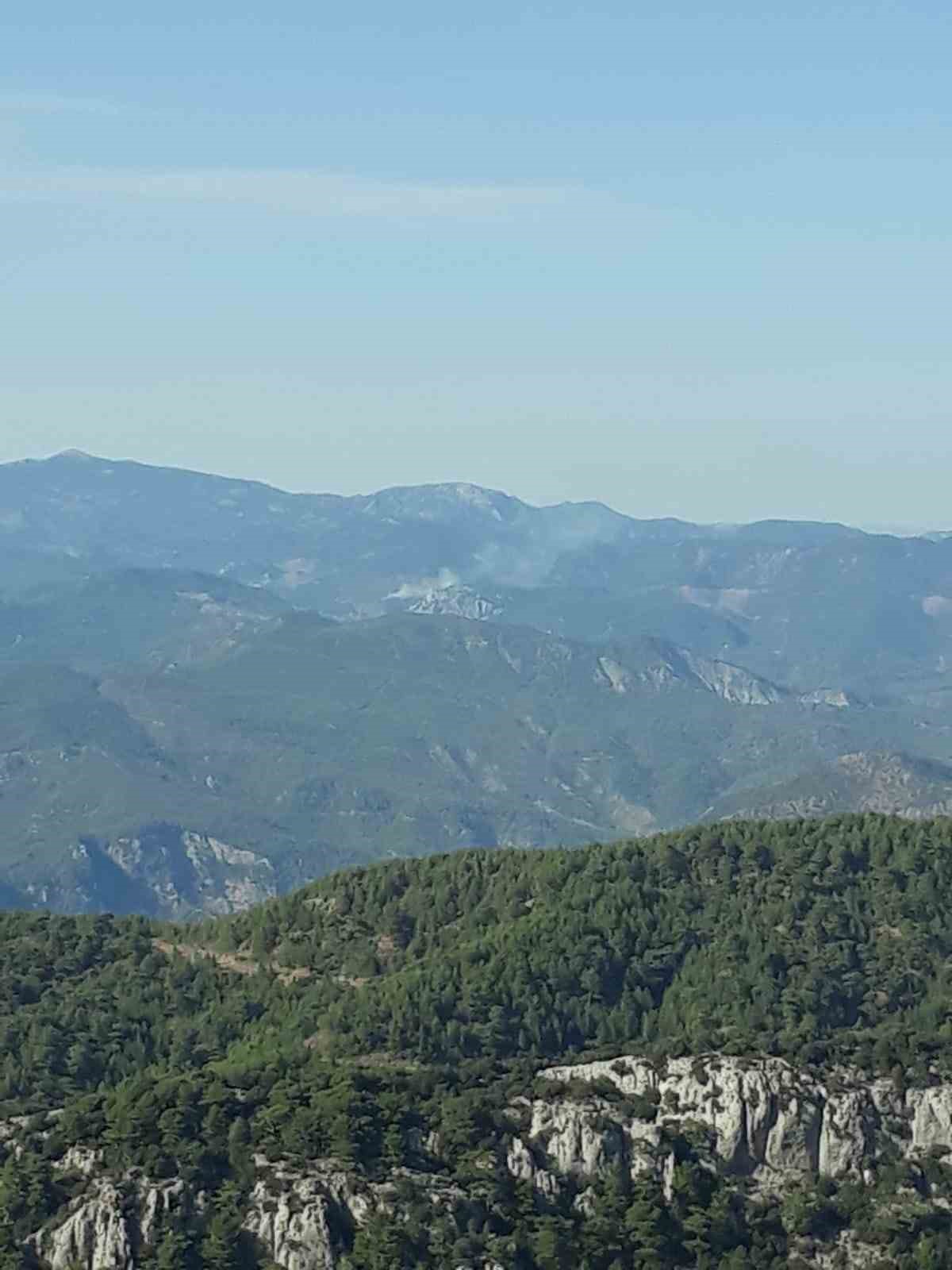 Muğla’nın Köyceğiz ilçesinde orman yangını
