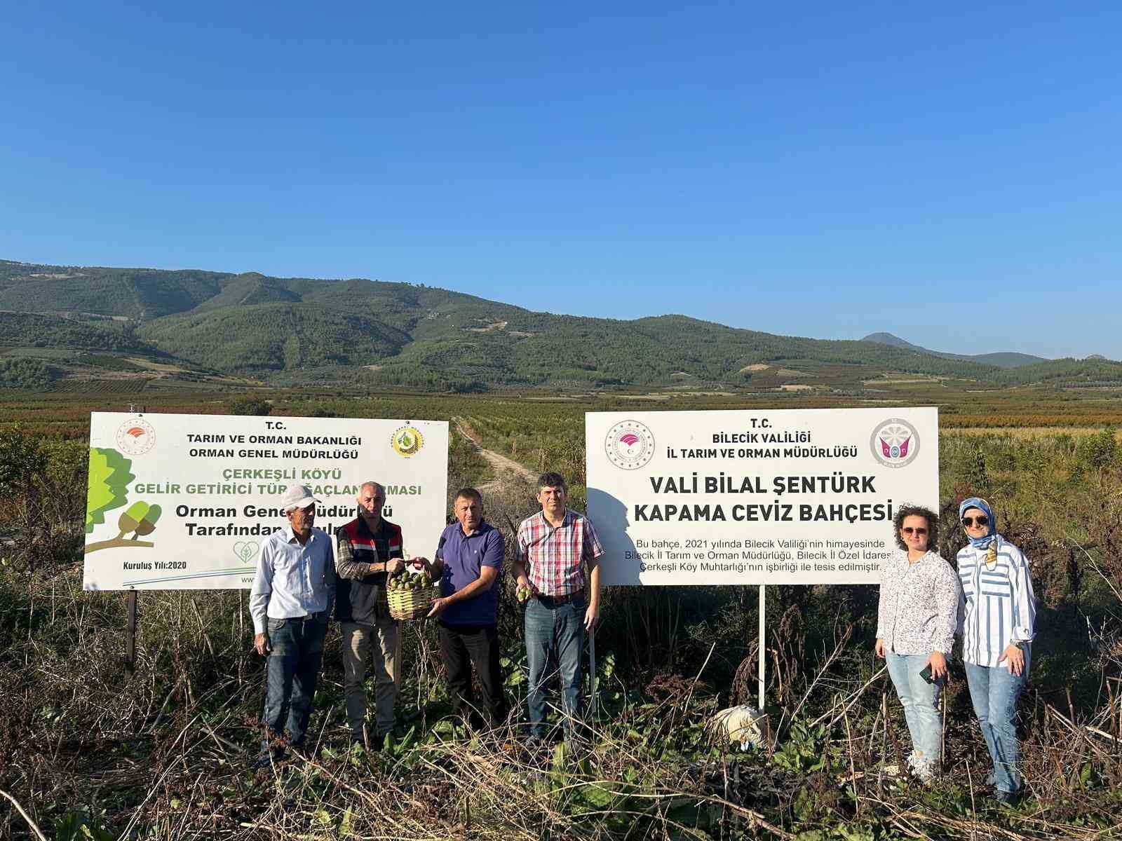 Kavaklığı ceviz bahçesine dönüştüren muhtarlık ilk hasadını yaptı
