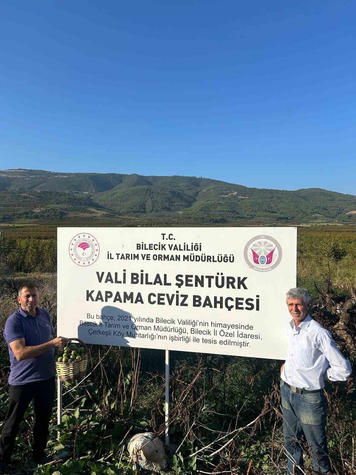 Kavaklığı ceviz bahçesine dönüştüren muhtarlık ilk hasadını yaptı
