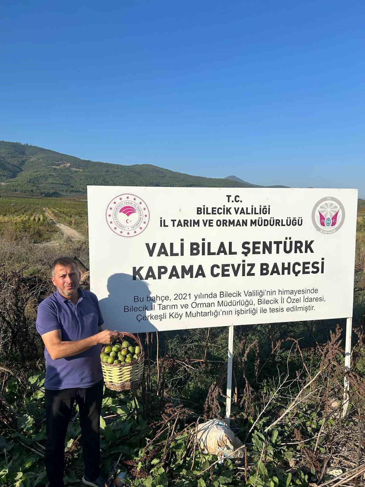 Kavaklığı ceviz bahçesine dönüştüren muhtarlık ilk hasadını yaptı
