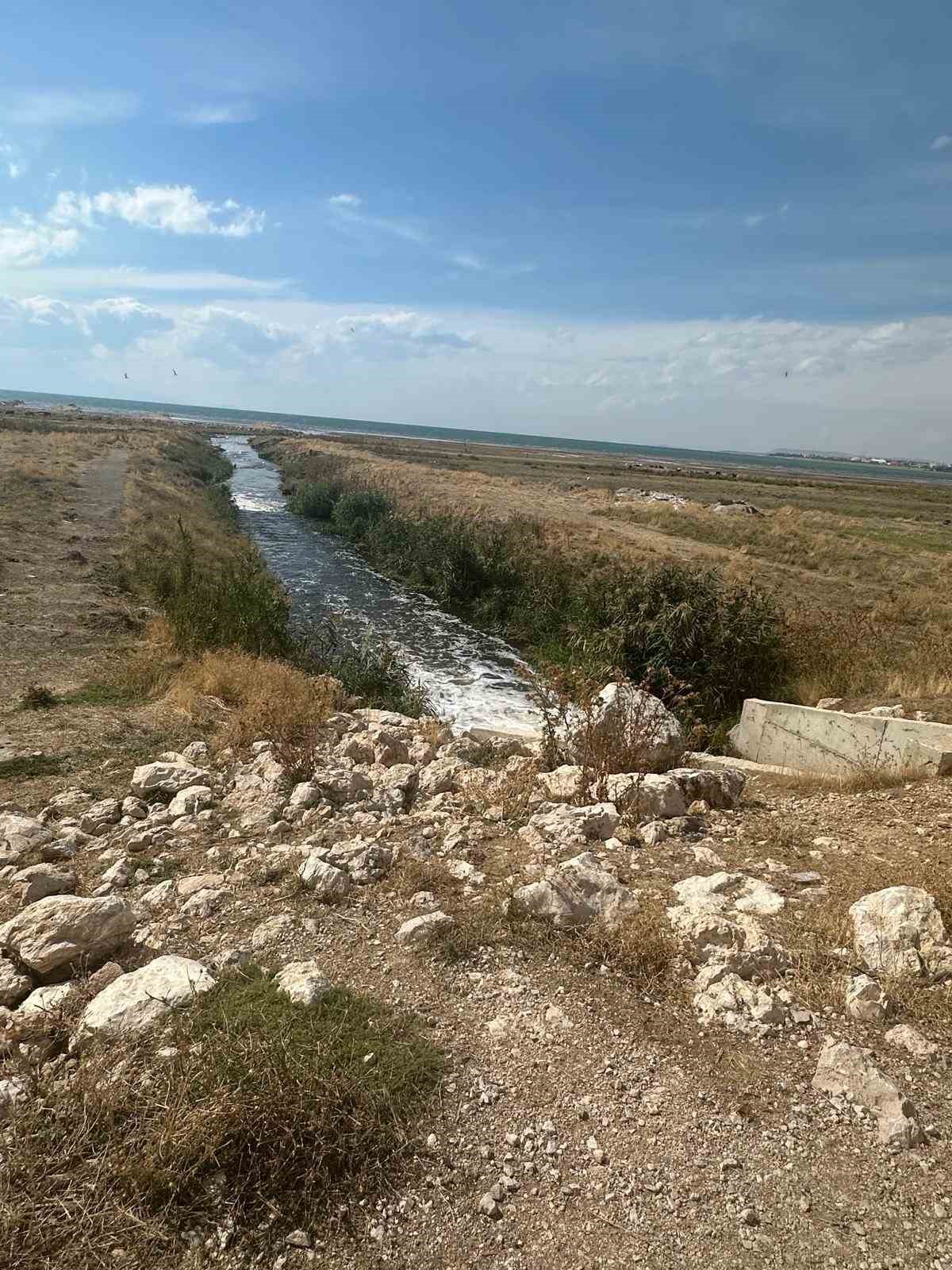 Van Gölü’ne kaçak deşarj yapan Büyükşehir Belediyesi’ne ceza
