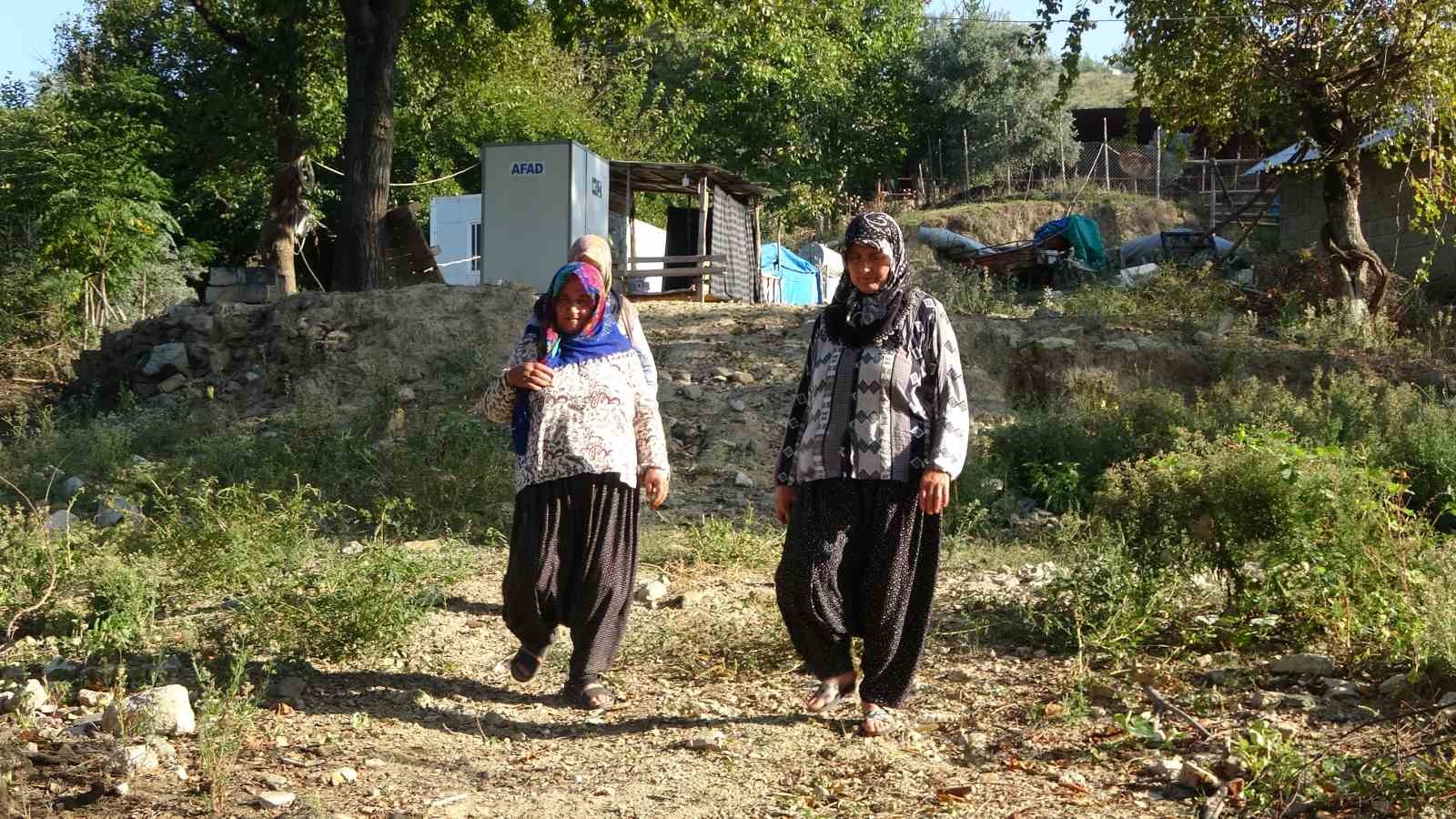 Kadınlara karşı soyunup tartışan kişi zeytin ağaçlarını kesti iddiası
