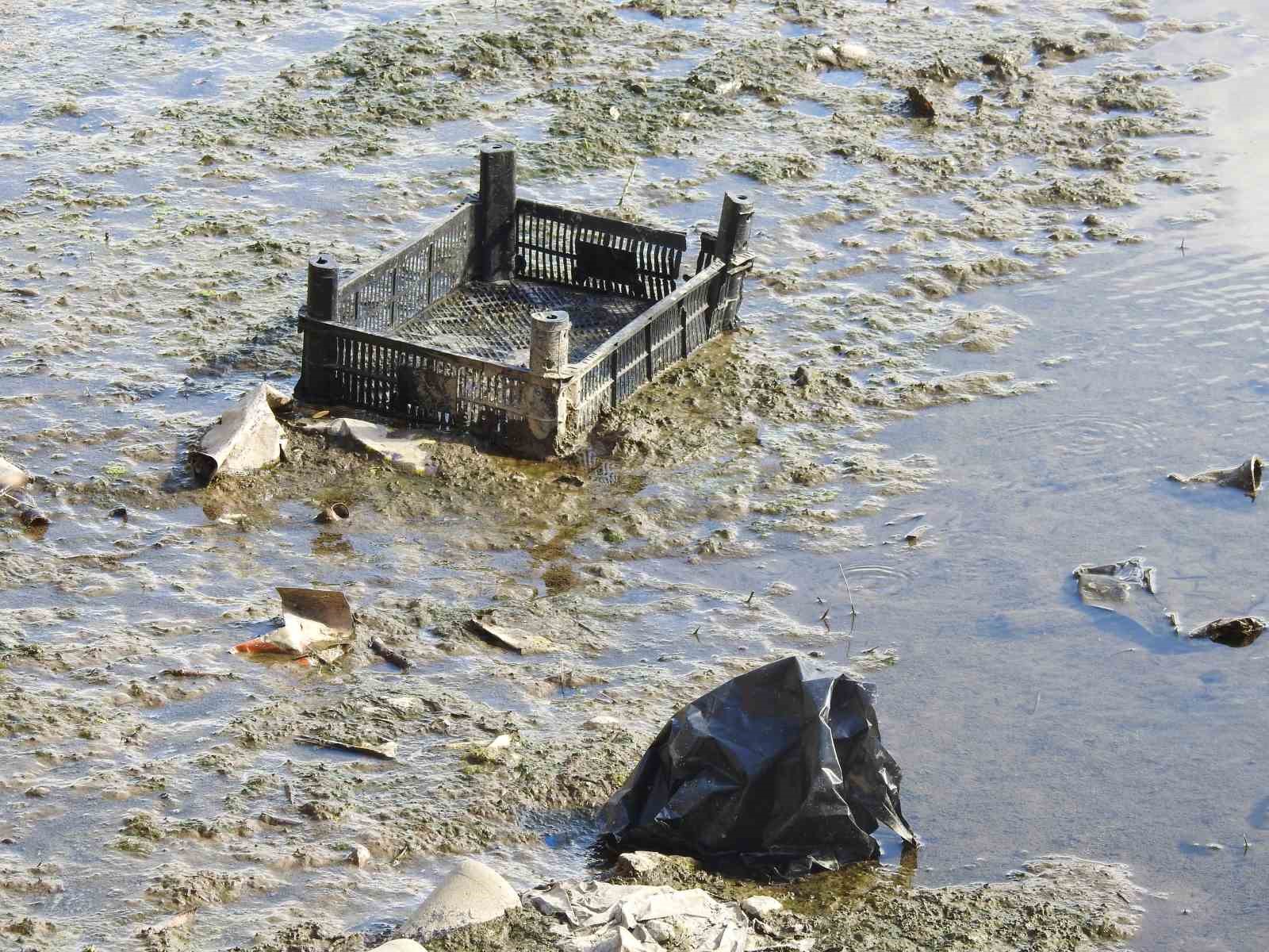 Tunca Nehri ’hurdalığa’ dönüştü
