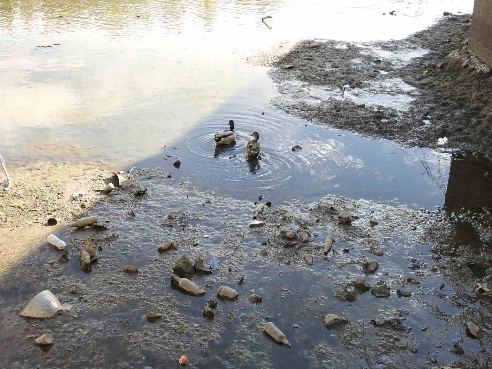 Tunca Nehri ’hurdalığa’ dönüştü
