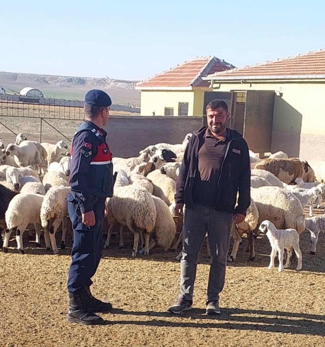 Kaybolan küçükbaş hayvanları jandarma dronla buldu
