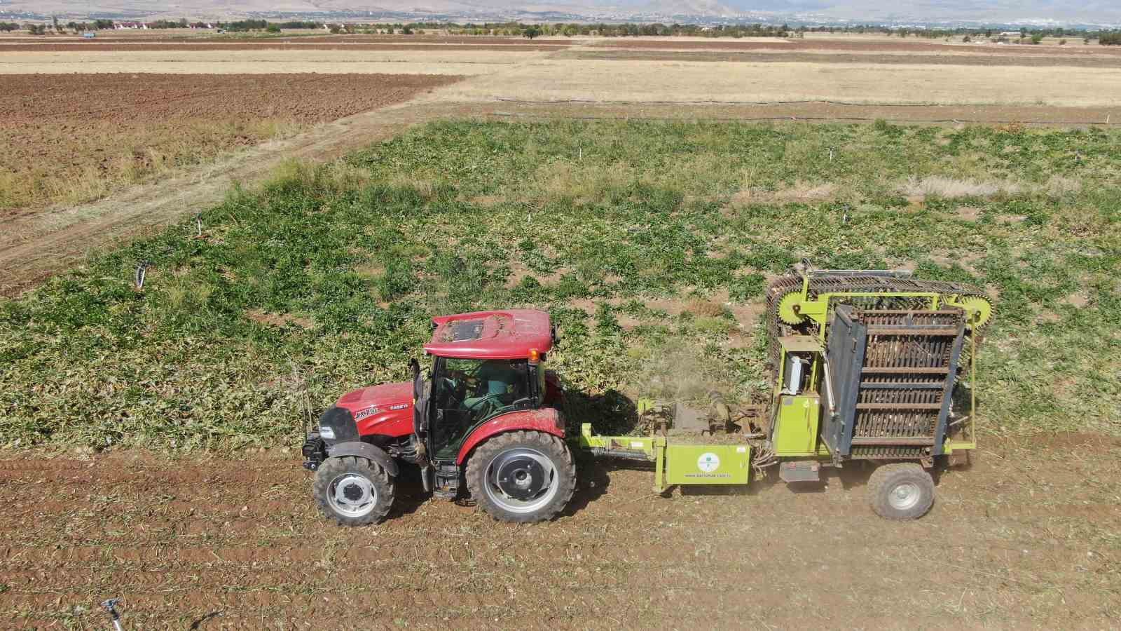 Elazığ’da 37 bin dönüm alanda pancar hasadı başladı
