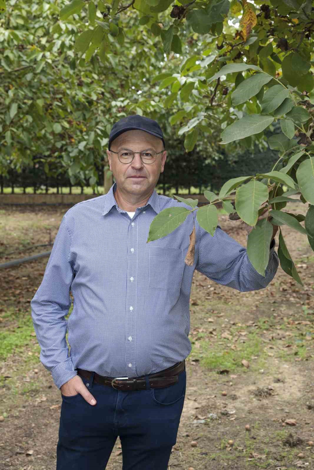 Ceviz hasadından 60 bin ton rekolte bekleniyor
