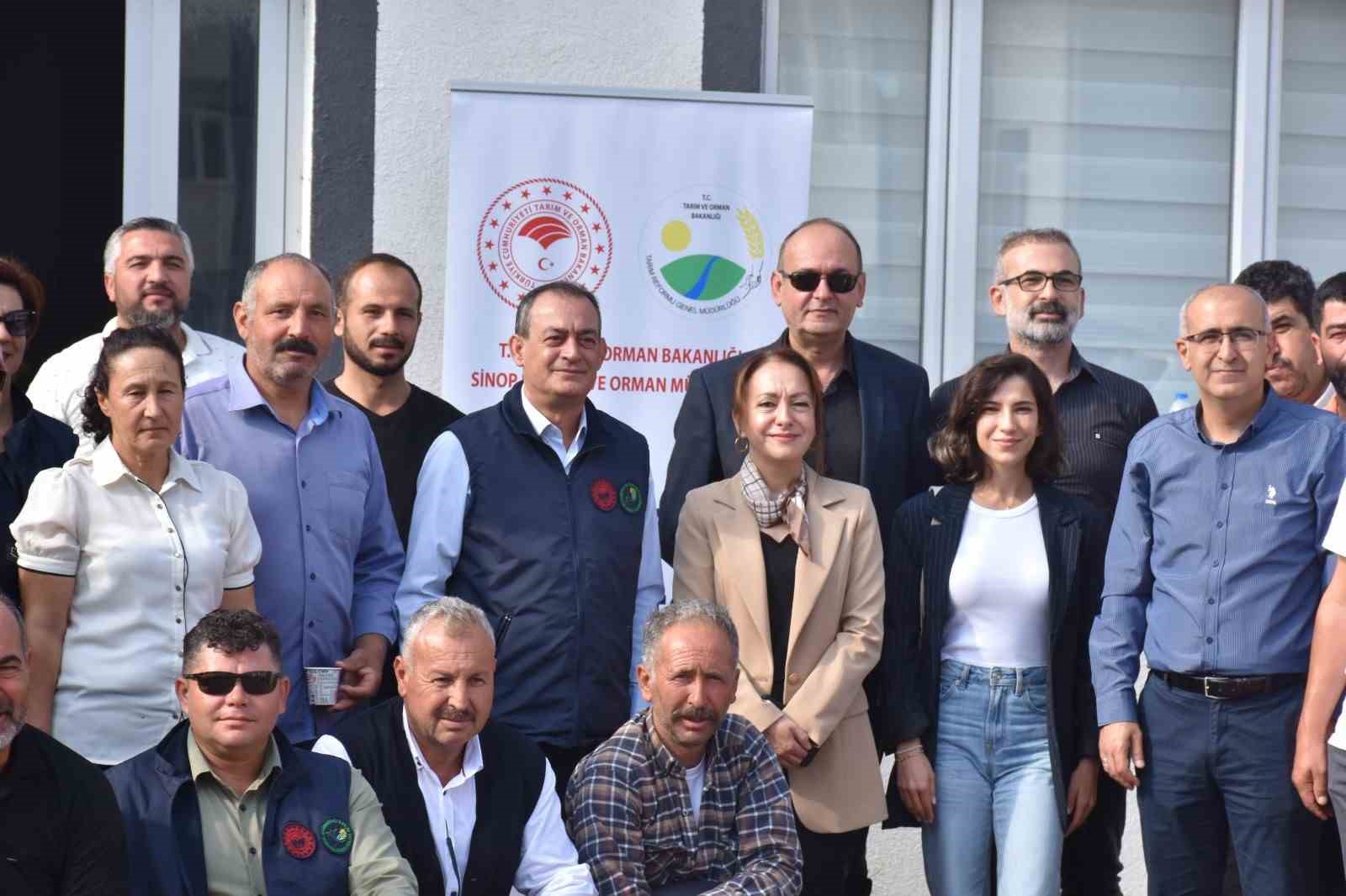 Sinop’ta 532 kırsal kalkınma projesi
