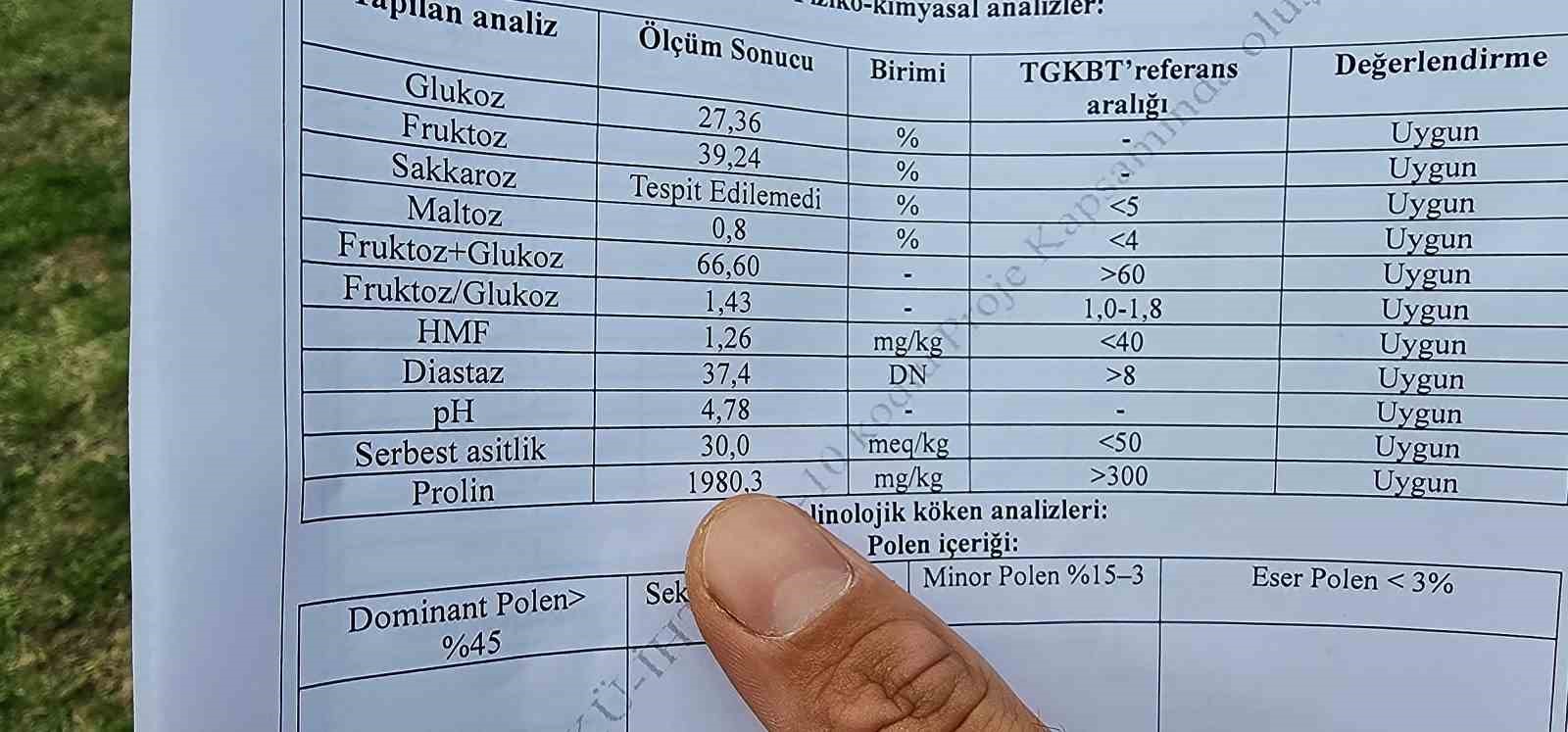 Zonguldak kestane balının kalitesi dünyaya ulaştı
