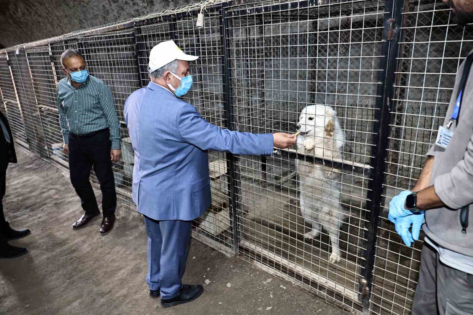 Talas Pati Evi’nde kapsamlı işbirliği
