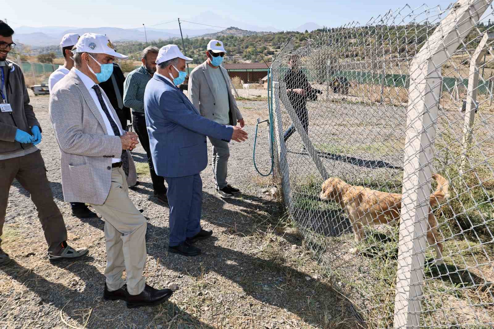 Talas Pati Evi’nde kapsamlı işbirliği
