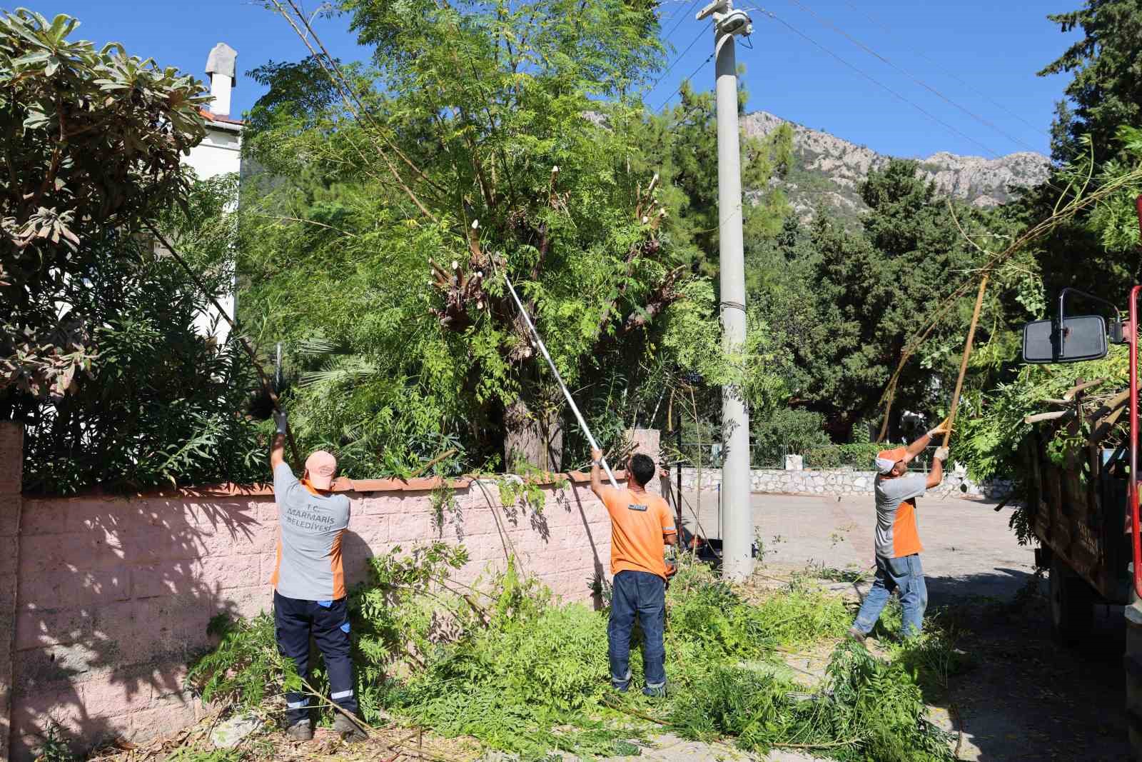 Marmaris’te dere yatakları kışa hazırlanıyor
