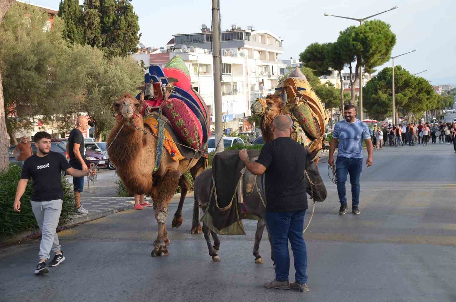 Didim Zeytin Festivali başladı
