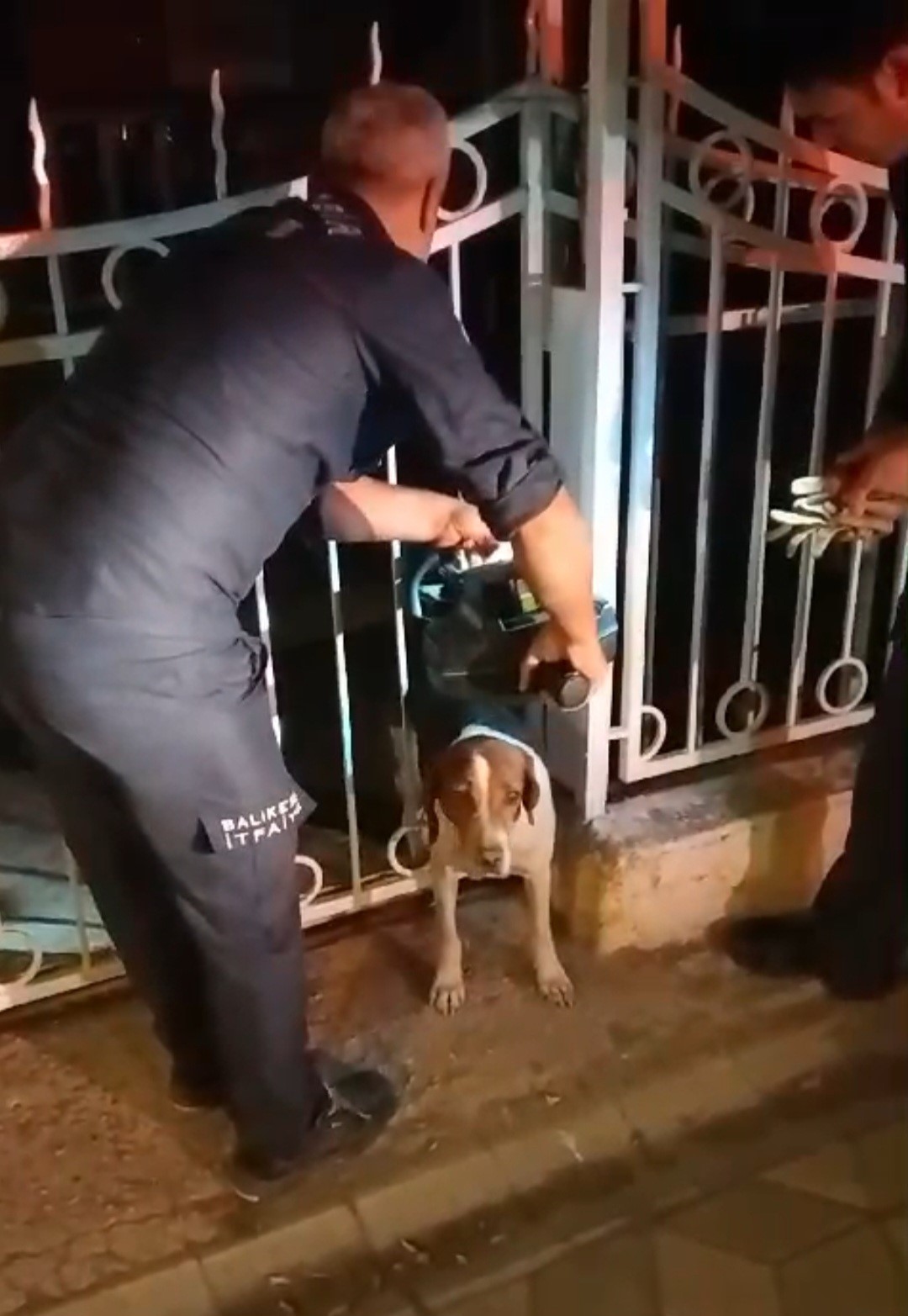 Bandırma’da demir parmaklıklara sıkışan köpek kurtarıldı
