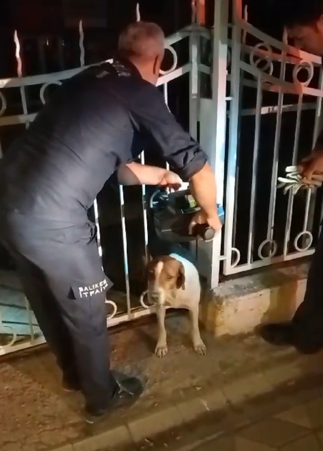 Bandırma’da demir parmaklıklara sıkışan köpek kurtarıldı
