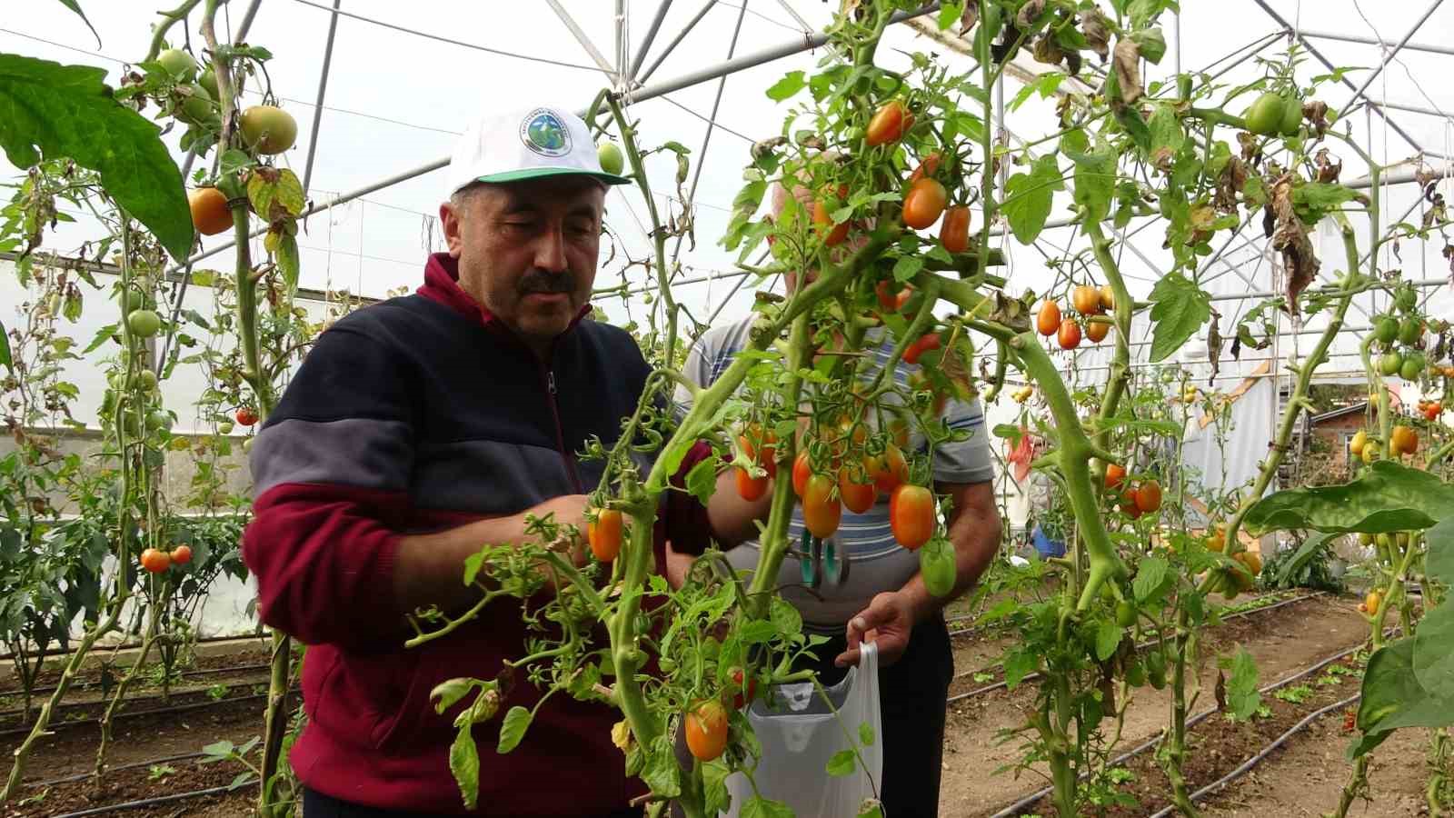 Yavuzkemal Beldesinden örnek tarım projesi
