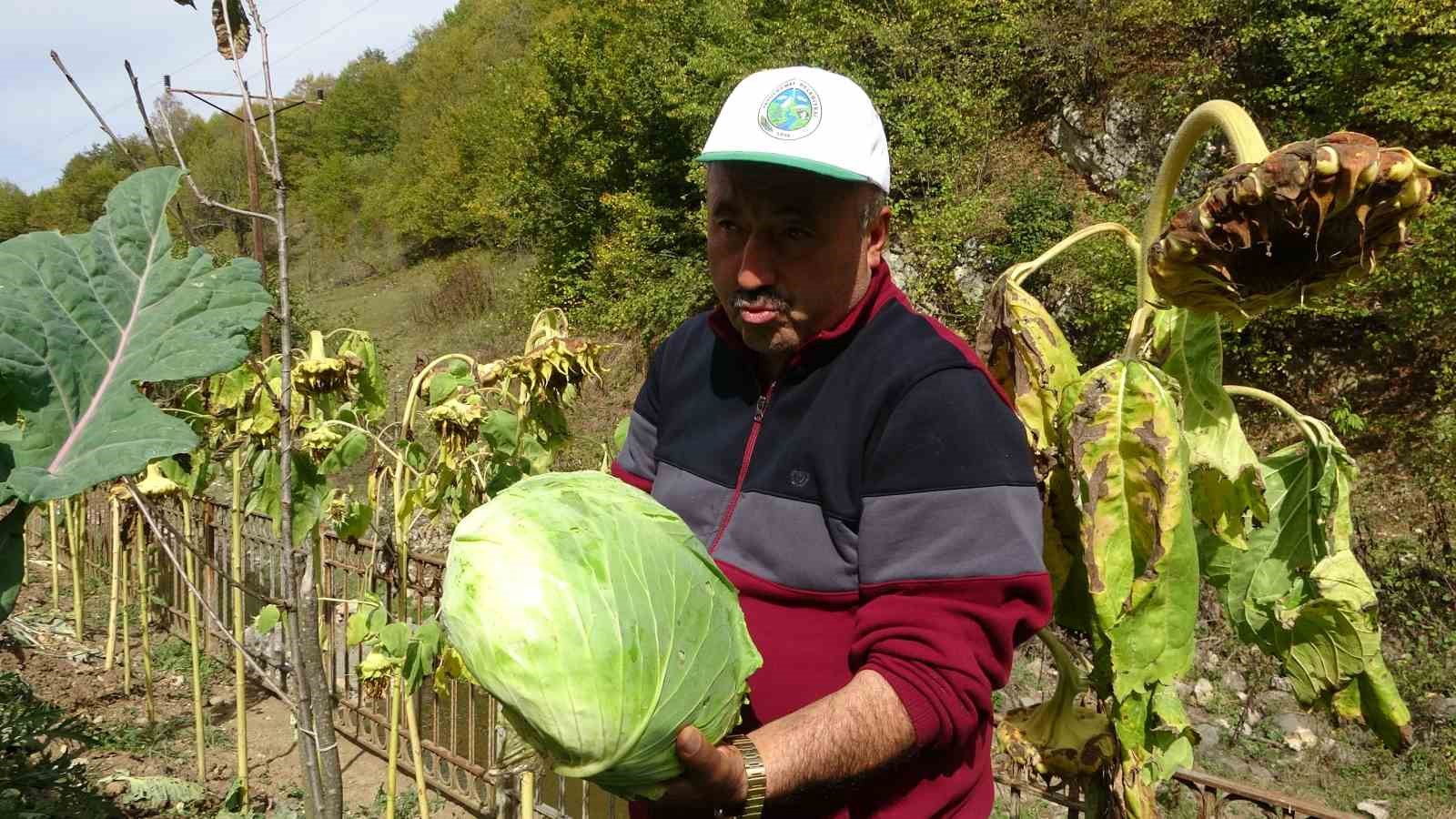 Yavuzkemal Beldesinden örnek tarım projesi
