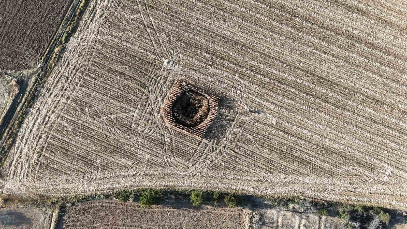 Mısır tarlasında 14,5 metre genişliğinde obruk oluştu
