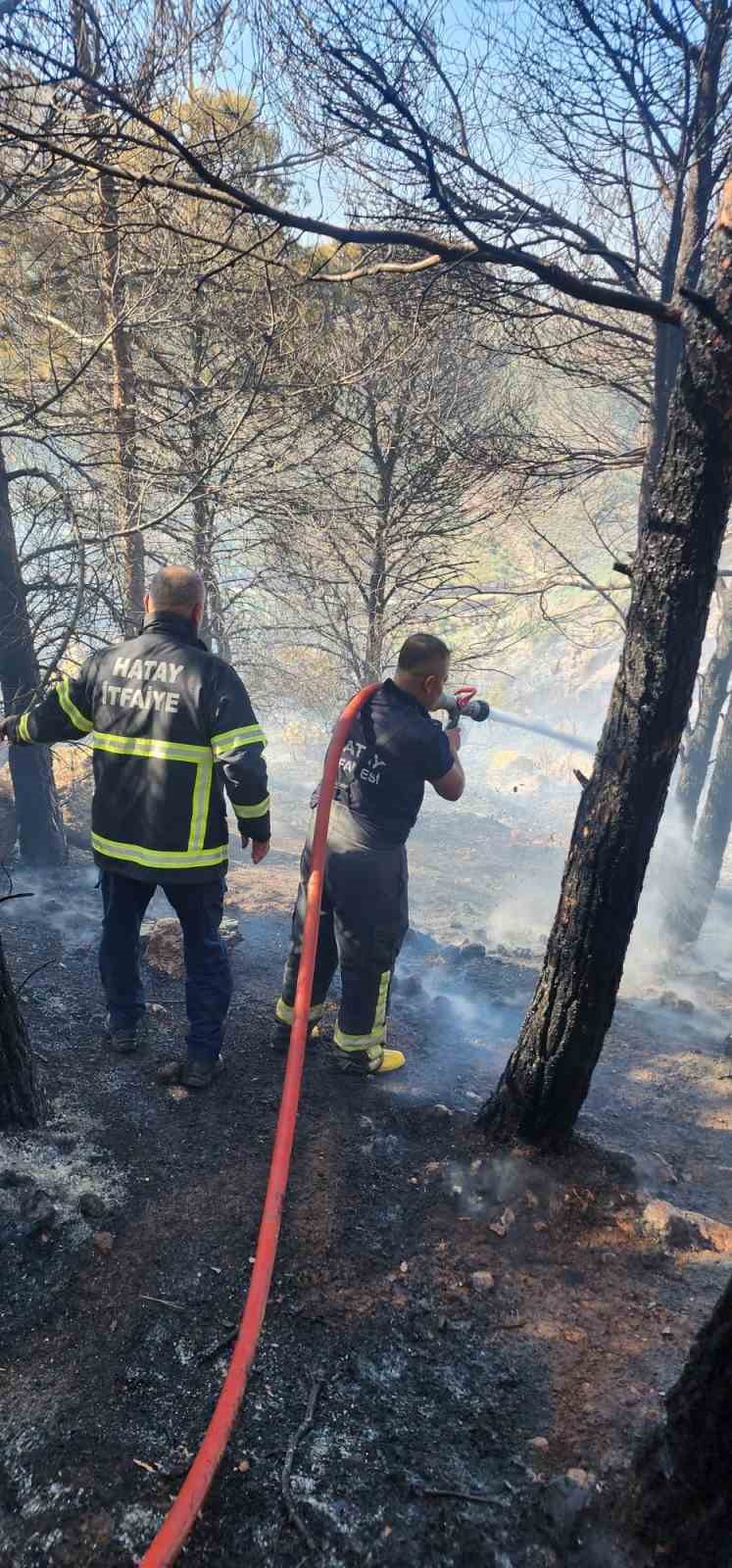 Antakya’da orman yangını
