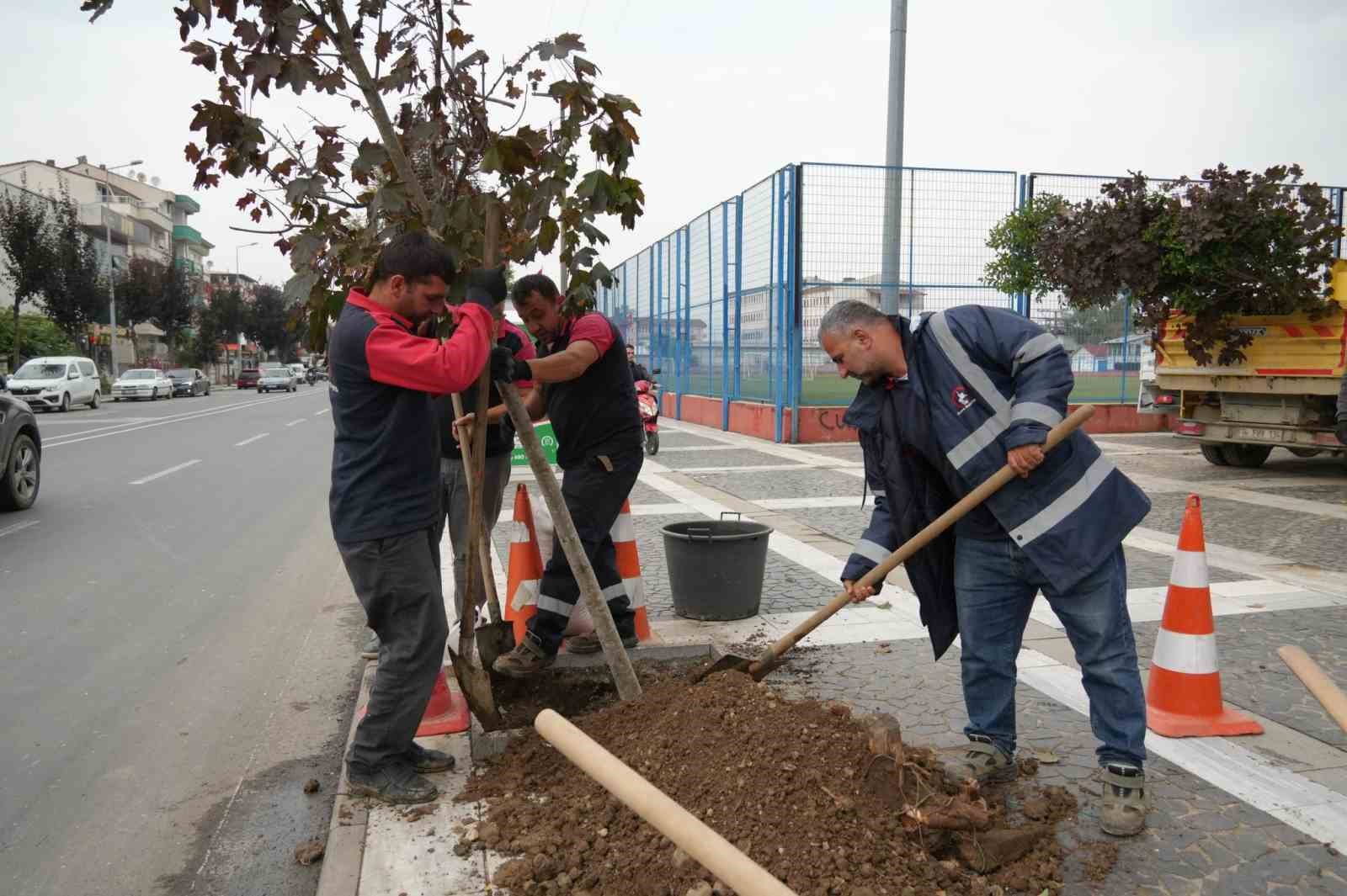 Kuruyan ağaçlar yenilendi
