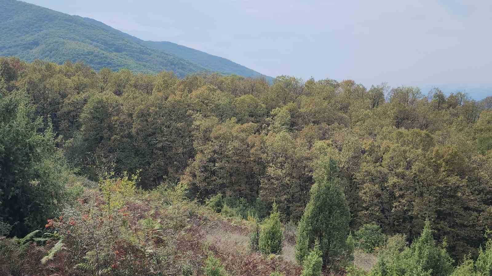 Ormanlık alanda öldürülen dayı ve yeğeni toprağa verildi
