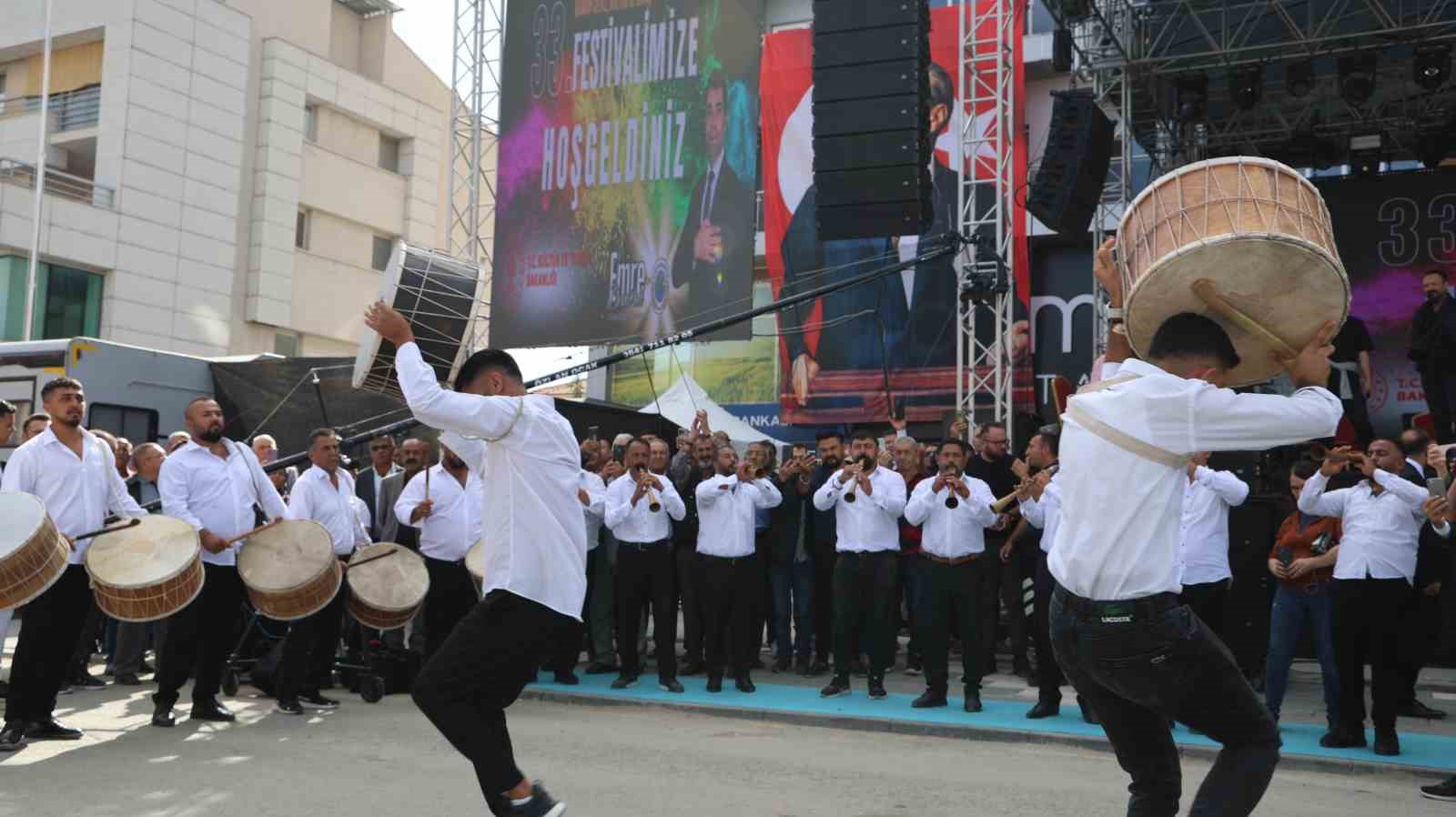 Ceviz Kültür ve Sanat Festivali başladı
