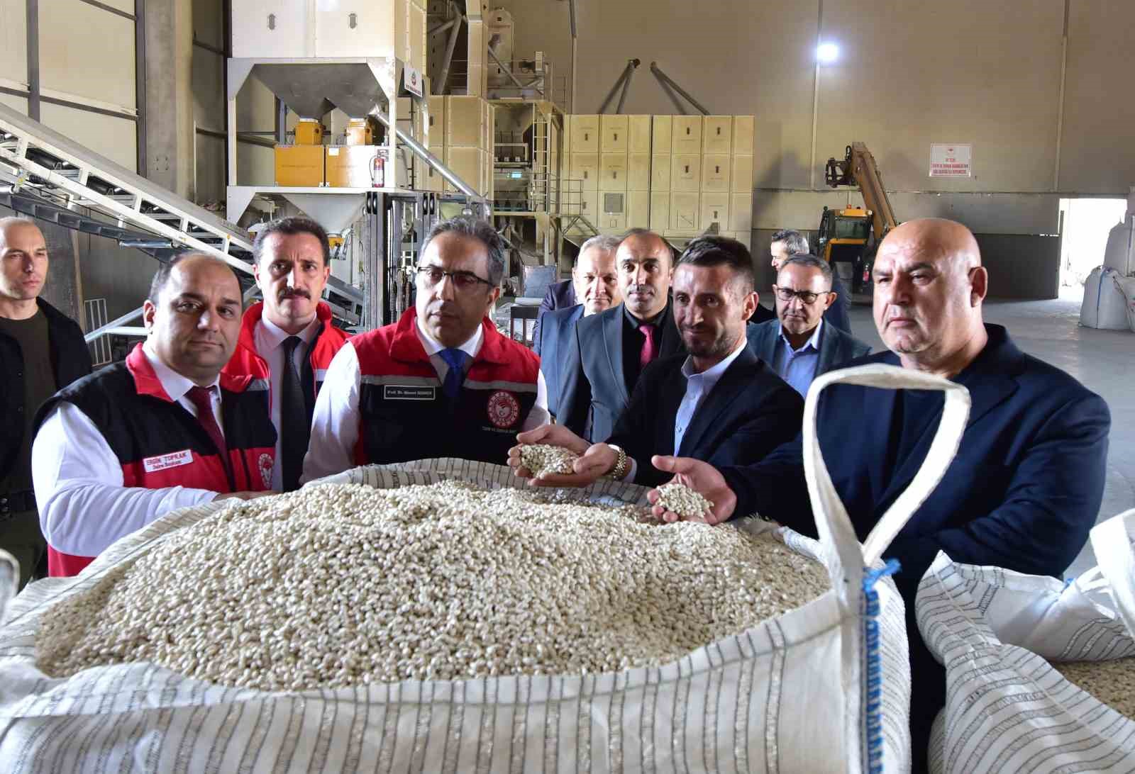 Tarım ve Orman Bakan Yardımcısı Gümen, Ahlat’ta tarım ve hayvancılık tesislerini gezdi
