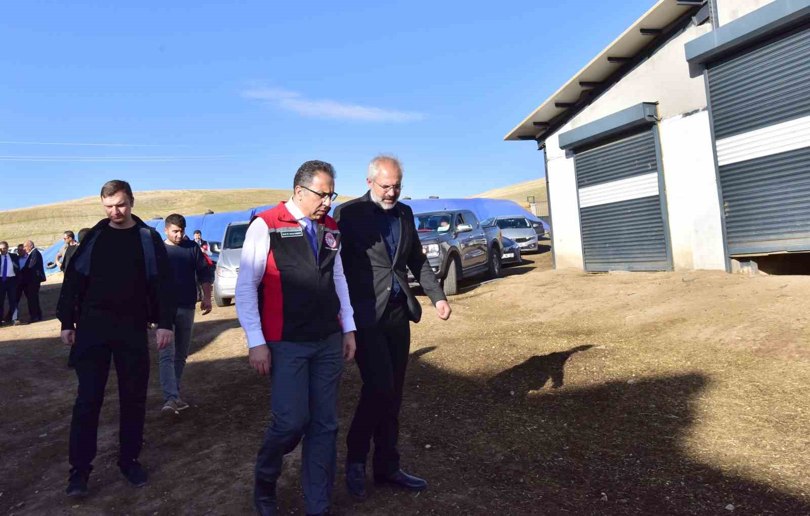 Tarım ve Orman Bakan Yardımcısı Gümen, Ahlat’ta tarım ve hayvancılık tesislerini gezdi
