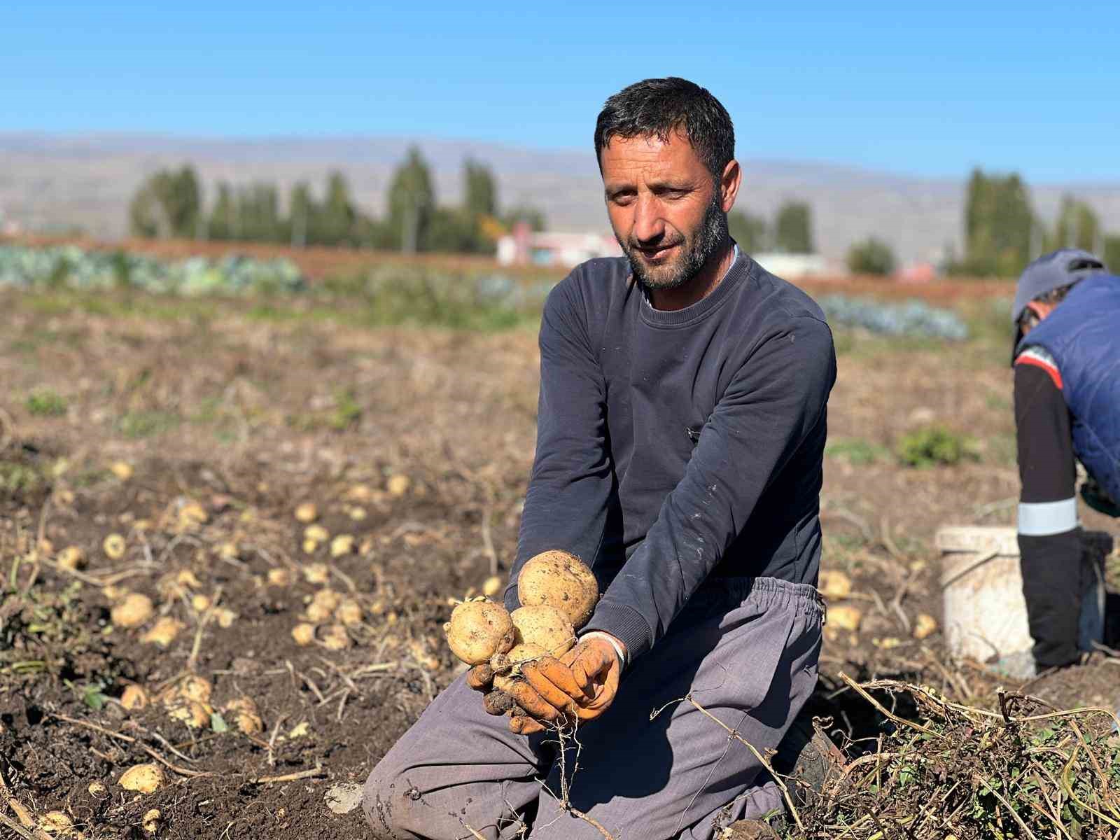 Arpaçay’da kışlık patates hasadı başladı
