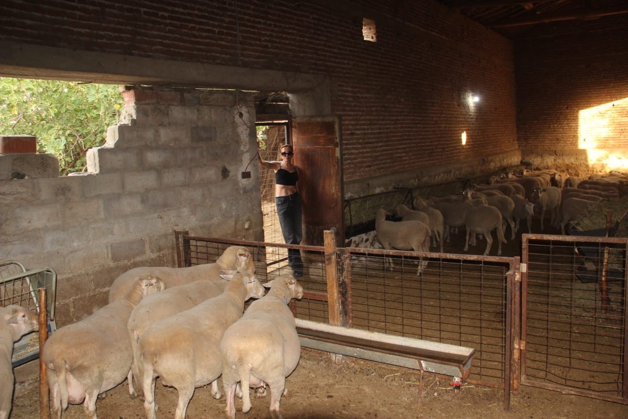 Karadağlı Moda Tasarımcısı Bayramiç’te çoban oldu
