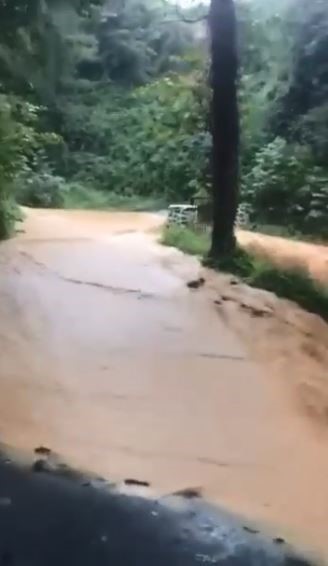 Artvin’de şiddetli yağışta bazı köy yolları ulaşıma kapandı
