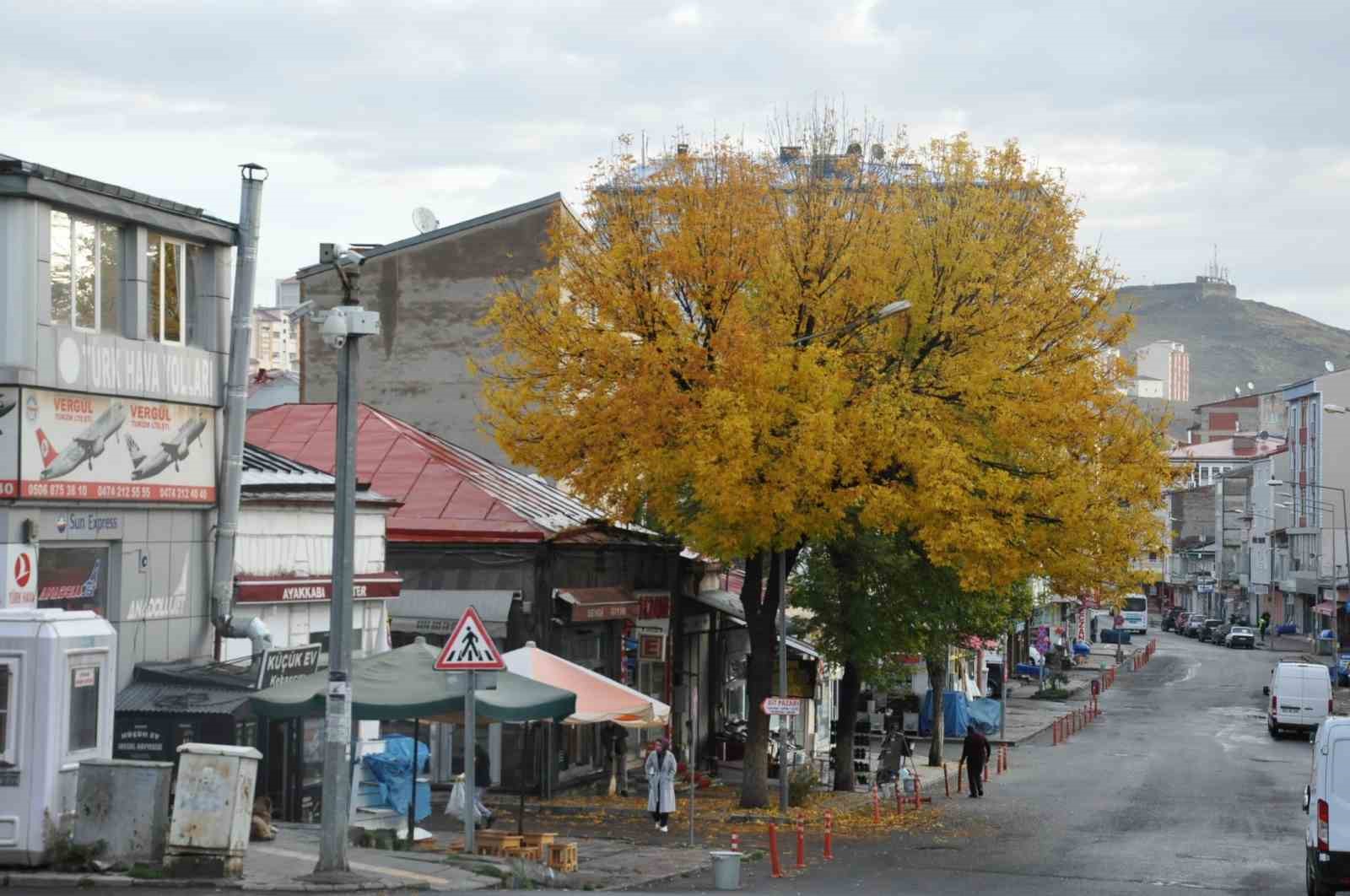 Kars’ta temizlik işçilerinin yaprak mesaisi başladı
