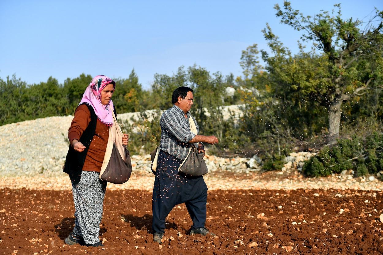 Mersin Büyükşehir Belediyesi, binlerce kadını tarımla buluşturdu
